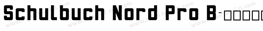 Schulbuch Nord Pro B字体转换